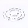 Non-Tarnish 304 Stainless Steel Figaro Chain Necklaces NJEW-F227-03-02-1