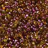 Spray Painted Glass Seed Beads SEED-F005-04A-01-3