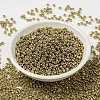 MIYUKI Round Rocailles Beads SEED-G008-RR4204-3