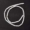 Natural Trochid Shell/Trochus Shell Beads X-SSHEL-O001-26B-2