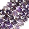 Natural Amethyst Beads Strands G-L657-A08-01-2