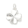 925 Sterling Silver Charms LS-FIND-Z069-04S-C-1