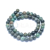 Natural Chrysocolla Beads Strands X-G-L552H-12-3