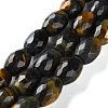 Dyed Natural Tiger Eye Beads Strands G-C135-J04-01-2