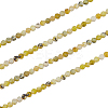 2 Strands Natural Lemon Turquoise(Jasper) Beads Strands G-NB0003-13-1