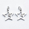 316 Surgical Stainless Steel Pendants STAS-J038-01A-P-1