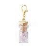 Natural Amethyst Chips inside Glass Wishing Bottle Pendant Decoration HJEW-JM03307-04-4