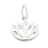 925 Sterling Silver Charms STER-M119-10S-1