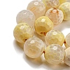 Faceted Natural Fire Crackle Agate Beads Strands G-F447-12mm-H02-4
