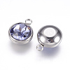 Glass Rhinestone Charms STAS-G082-14-2