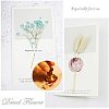 DIY Scrapbook AJEW-WH0100-355-4