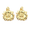 Rack Plating Brass Pendants KK-D026-11G-2