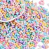 Glass Seed Beads SEED-K010-03K-1