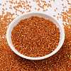 Cylinder Seed Beads SEED-H001-G10-3