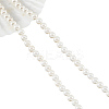 Glass Pearl Beads Strands SHEL-WH0001-009A-1-2
