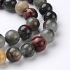 Natural African Bloodstone Beads Strands G-L383-06-8mm-3