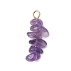 10Pcs 5 Colors 12 Constellation Natural Citrine & Natural Obsidian & Fluorite & Amethyst & Strawberry Quartz Pendants PALLOY-JF02839-02-3
