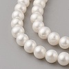 Grade AAA Natural Cultured Freshwater Pearl Beads Strands PEAR-G007-24-3