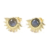 Natural Labradorite Stud Earrings EJEW-K288-01G-10-1