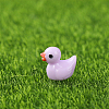 Mini Duck Resin Display Decorations FIND-SZC0013-354-1