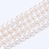 Natural Cultured Freshwater Pearl Beads Strands PEAR-R063-09-1
