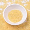 MIYUKI Delica Beads SEED-J020-DB0233-2