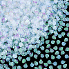 2000Pcs UV Plating Resin Charms RESI-NB0002-17A-6