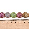 Painted Glass Beads Strands GLAA-F133-07C-4
