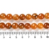 Natural Agate Beads Strands G-M437-B01-01L-5