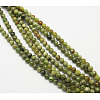 Natural Idocrase Beads Strands G-N165-7-2-5