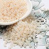 TOHO Round Seed Beads SEED-TR08-0147-4