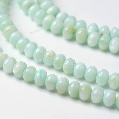 Dyed Natural Freshwater Shell Rondelle Bead Strands BSHE-O016-19B-1