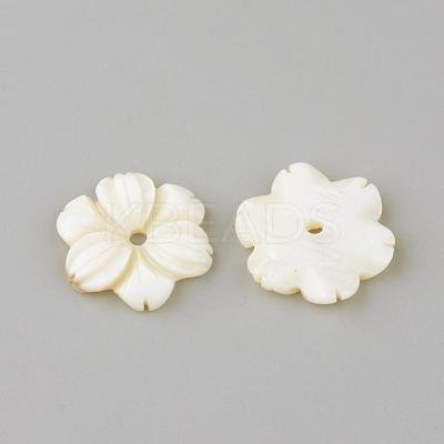 Natural Freshwater Shell Beads SHEL-Q008-53-1