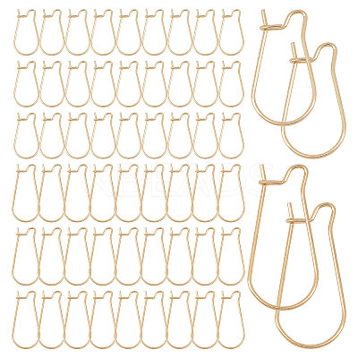 60Pcs 2 Style Surgical Stainless Steel Hoop Earrings Findings STAS-CN0001-03-1