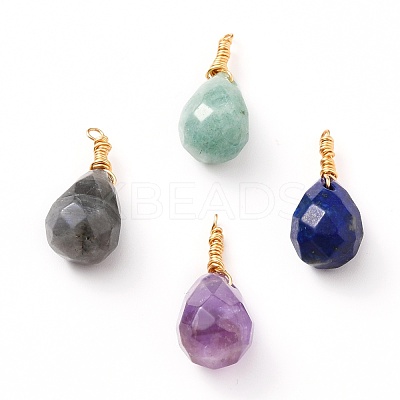Wire Wrapped Faceted Natural Green Aventurine & Amethyst & Lapis Lazuli & Labradorite Pendants X-PALLOY-JF00542-1