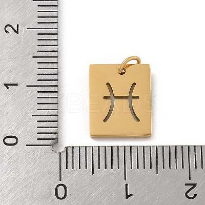 304 Stainless Steel Charms STAS-R001-03G-12-1