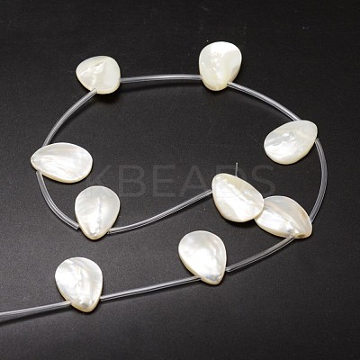 Natural Trochid Shell/Trochus Shell Beads Strands SSHEL-K009-12-1