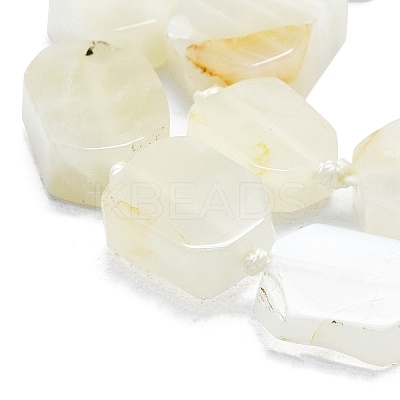 Natural White Moonstone Beads Strands G-K245-K01-01-1