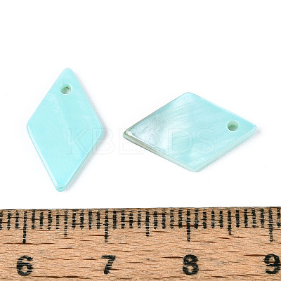 Spray Painted Natural Freshwater Shell Pendants BSHE-T014-07C-1