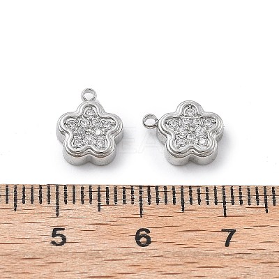 304 Stainless Steel Micro Pave Cubic Zirconia Charms STAS-Z121-46P-1