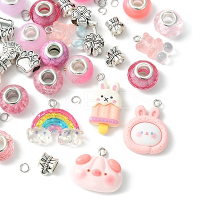 DIY Cartoon Resin & Alloy European Beads Bracelets Making Kits DIY-FS0007-21-1