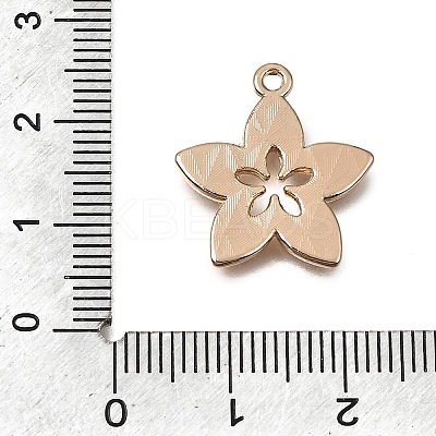 Alloy with Enamel Pendants AL-CBA2F44-01G-03-1