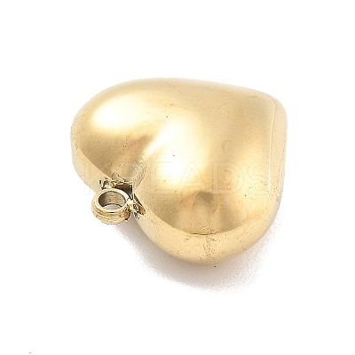 316 Surgical Stainless Steel Pendants LS-STAS-A108-01A-G-1