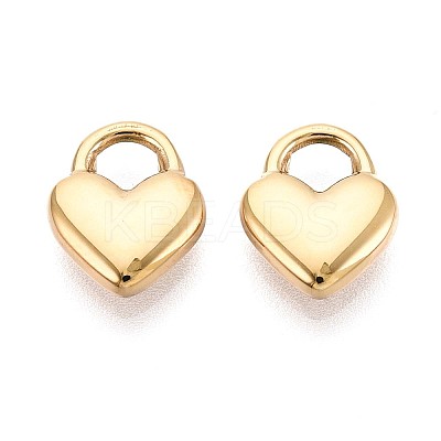 304 Stainless Steel Charms STAS-N109-194G-1