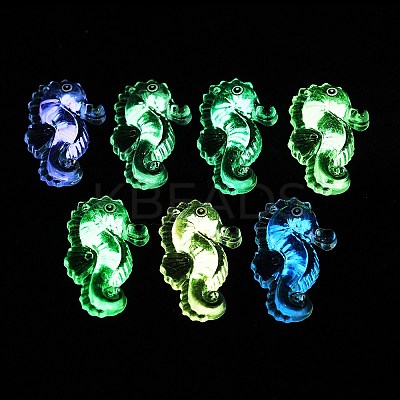 Transparent Luminous Acrylic Pendants TACR-Z002-03-1