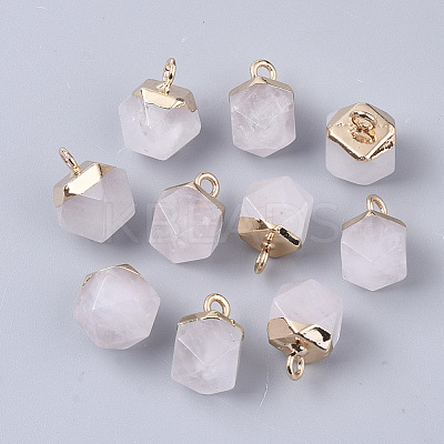 Natural Quartz Crystal Charms X-G-S359-015F-1