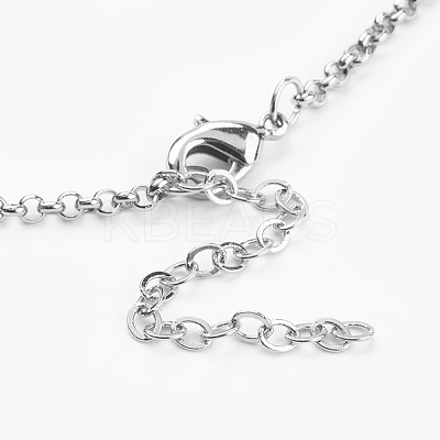 Stainless Steel Pendant Necklaces NJEW-JN02035-1