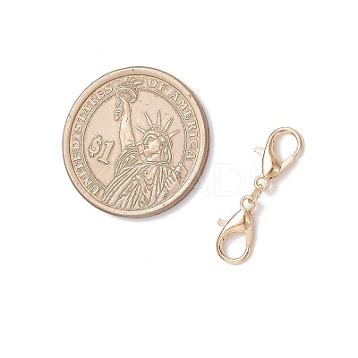 Zinc Alloy Lobster Claw Clasps PALLOY-JF04249-01-1
