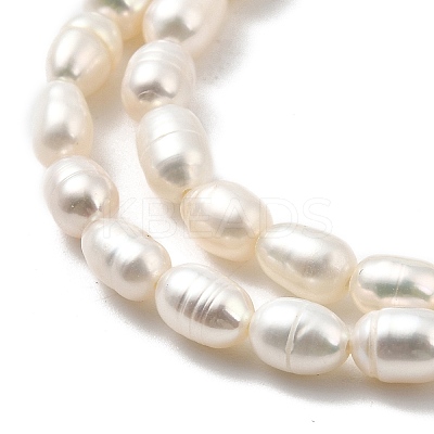 Natural Cultured Freshwater Pearl Beads Strands PEAR-I007-01N-01-1