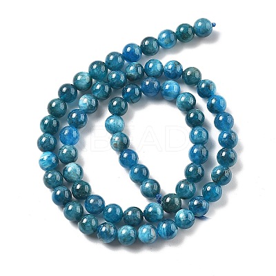 Natural Apatite Beads Strands G-O186-G01-01-1